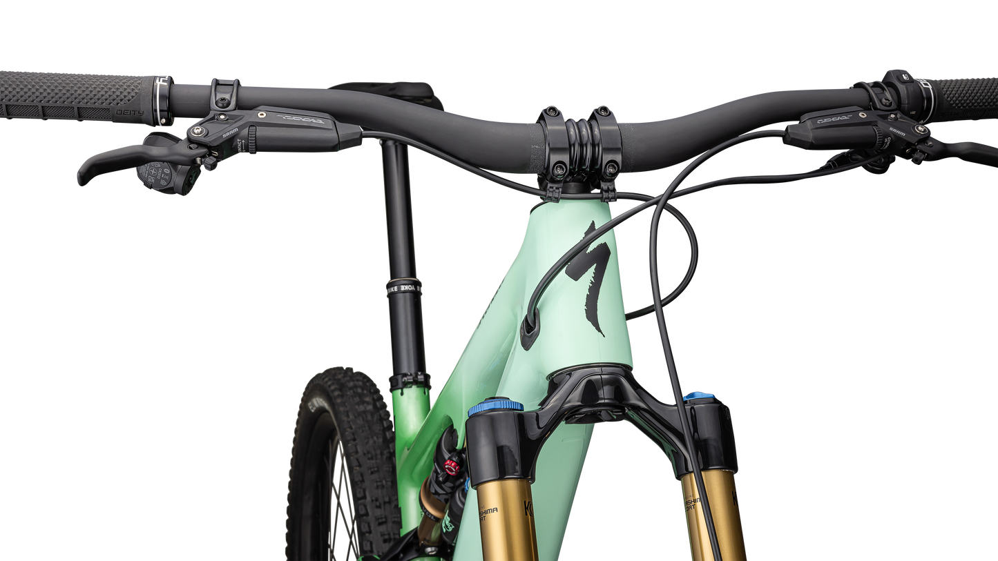 Turbo Levo SL 2 Pro Carbon