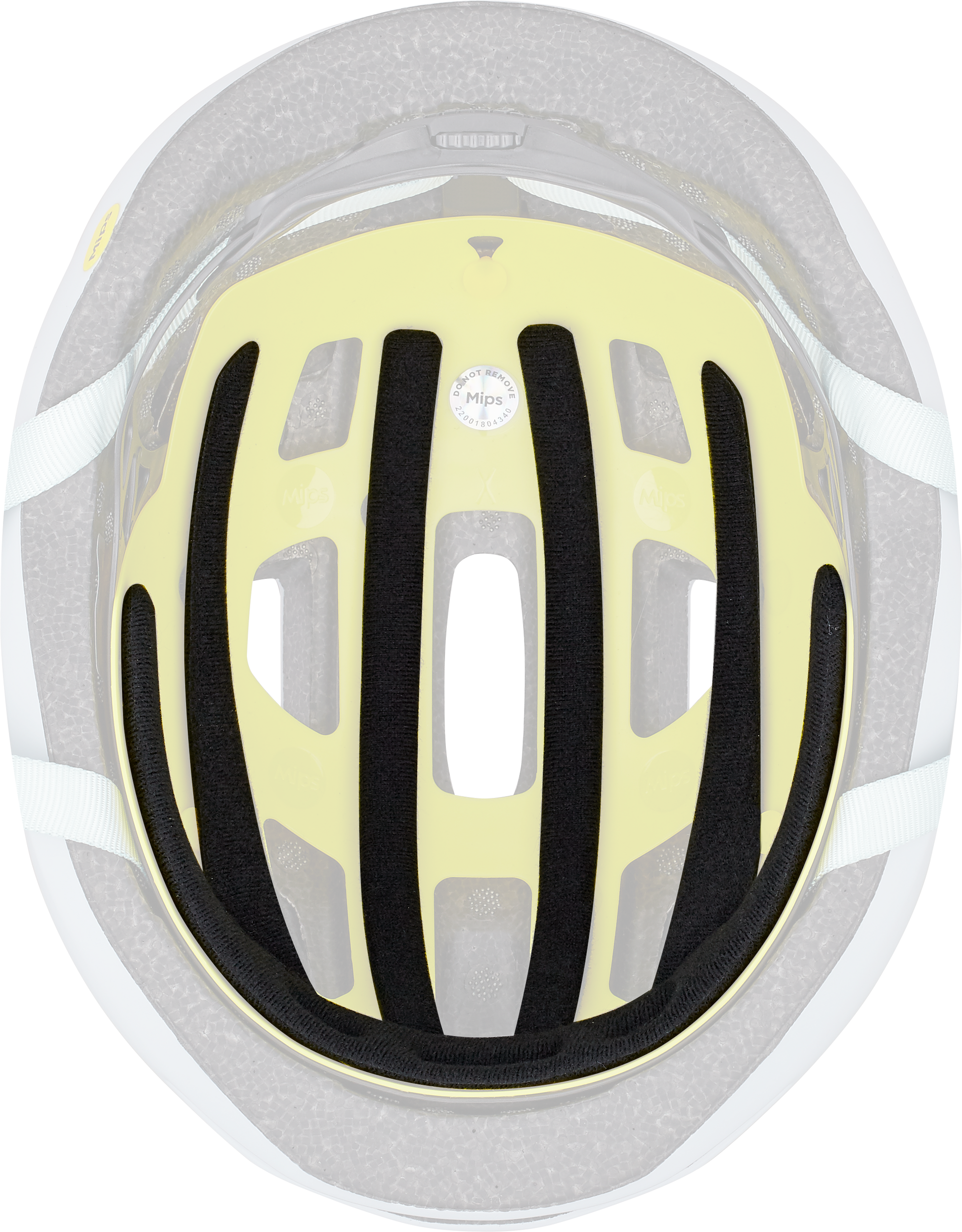 align bike helmet Align II