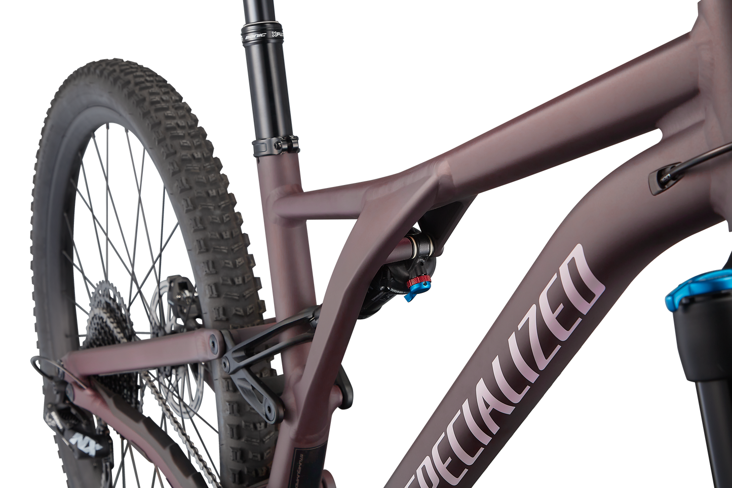 Stumpjumper Comp Alloy  - SRAM NX Eagle, Fox Rhyhm