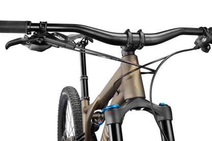 Stumpjumper Comp Alloy  - SRAM NX Eagle, Fox Rhyhm