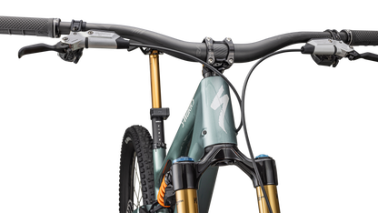 S-Works Stumpjumper 15 LTD - FOX DHX Live Valve Neo