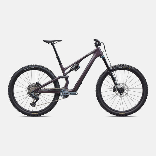 Stumpjumper 15 EVO Expert  - SRAM GX AXS, FOX Performance Elite