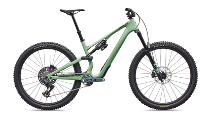 Stumpjumper 15 EVO Expert  - SRAM GX AXS, FOX Performance Elite