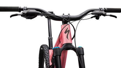 Stumpjumper 15 EVO Alloy Comp  - SRAM Eagle 70, FOX Rhythm