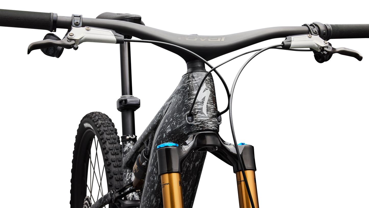 S-Works Turbo Levo R