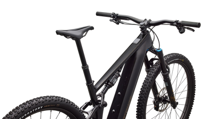 Turbo Levo R Expert