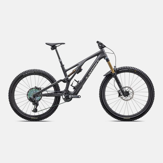 S-Works Stumpjumper EVO