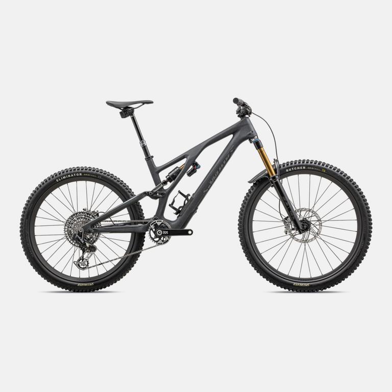 S-Works Stumpjumper EVO T-Type